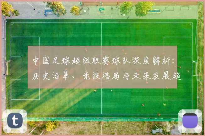 中国足球超级联赛球队深度解析：历史沿革、竞技格局与未来发展趋势