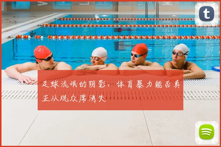 足球流氓的阴影,体育暴力能否真正从观众席消失